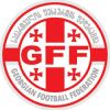 ФФГ публикует заявление о проведении футбольных турниров вне регламента  