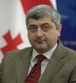 Новым замглавы МИД Грузии назначен Ника Вашакидзе 