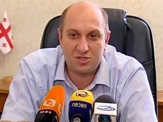 Вице-спикер Парламента Грузии: Обвинения России по поводу «Аль-каиды» - абсурд