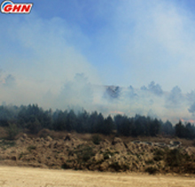 Лесной пожар в Ахалгорском районе Грузии угрожает российской военной базе