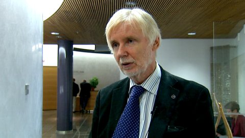 Грузию посещает глава МИД Финляндии
